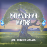 1778049161165.png