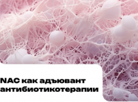 1778607042990.png