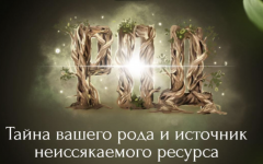 1779167320146.png
