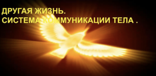 1779351394140.png