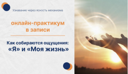 1780590798877.png
