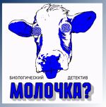 Снимок экрана 2026-06-05 в 13.47.48.png