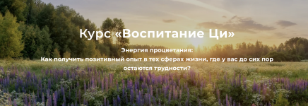 1780649416249.png