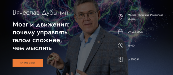 1781180281995.png