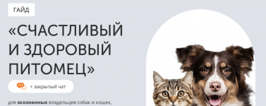 1781290630440.png 1781290630440.png