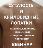 1781794953559.png