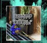 1784093786782.png