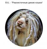 Снимок экрана — 2026-07-15 в 10.40.23.png