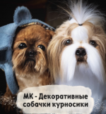 1785165139951.png