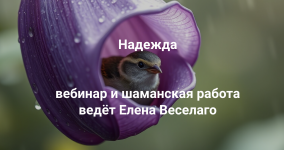 1785425202421.png 1785425202421.png
