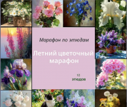 1785607651800.png