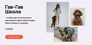 1785936958077.png 1785936958077.png