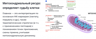 1786463749396.png