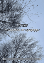 1787394117301.png 1787394117301.png
