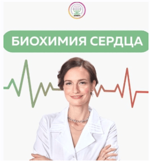 cover.png cover.png