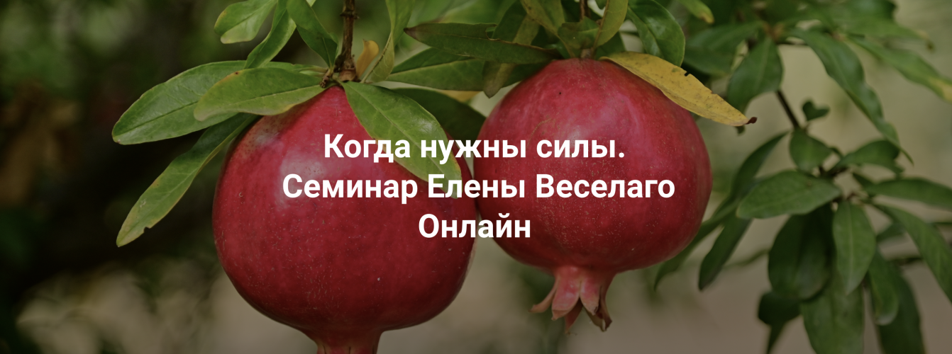 1790145159309.png