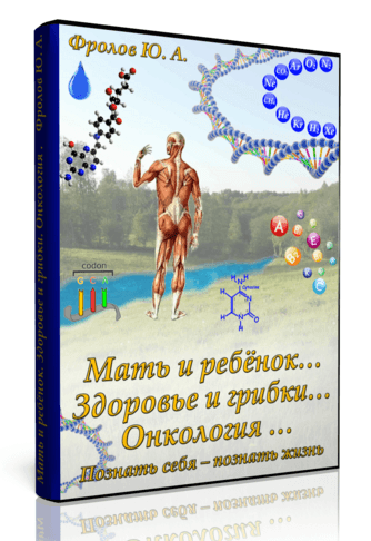 cover.png