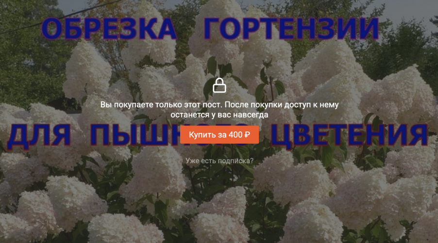 1791617058957.png 1791617058957.png