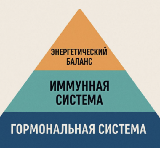 1791650415493.png 1791650415493.png