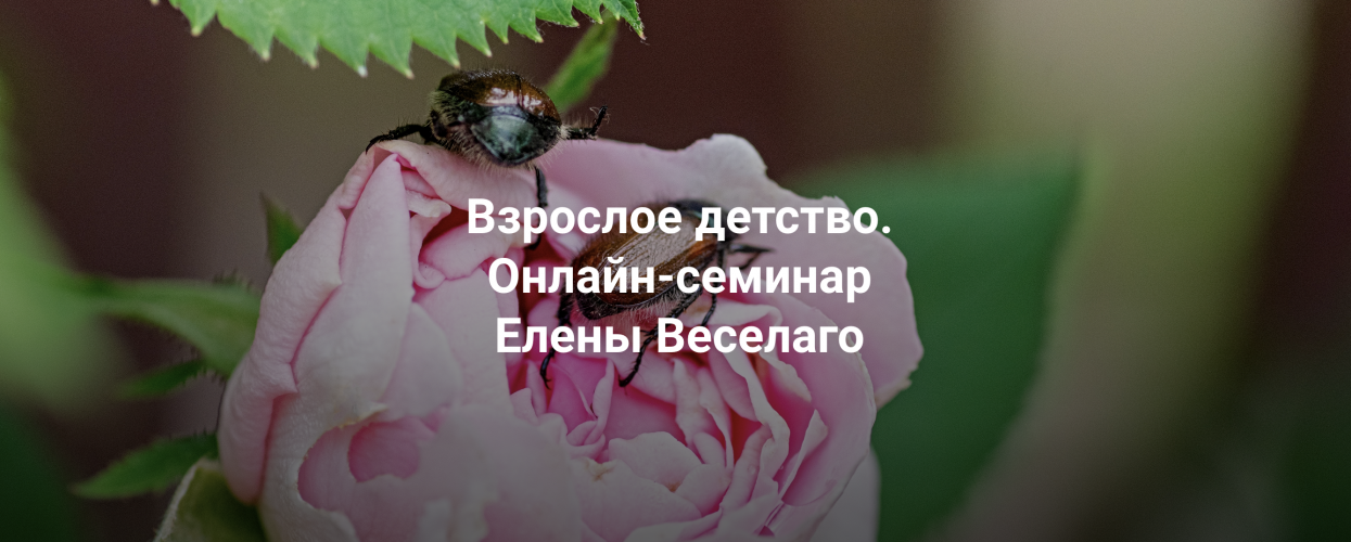 1793111504767.png 1793111504767.png