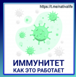 1733382164348.png 1733382164348.png