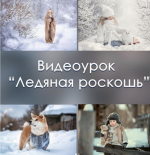 1735117382537.png 1735117382537.png