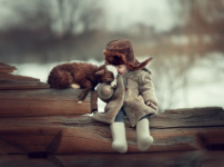 1735210223333.png 1735210223333.png