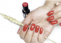 1735831560861.png 1735831560861.png