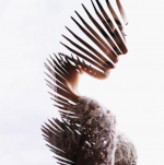 1736327448141.png 1736327448141.png