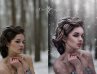 1736846509552.png 1736846509552.png