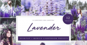 1737102330231.png 1737102330231.png