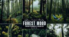 1737105421087.png 1737105421087.png