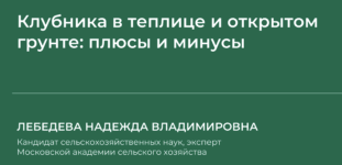 1737226256160.png 1737226256160.png