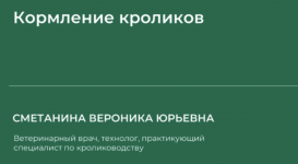 1737227133655.png 1737227133655.png