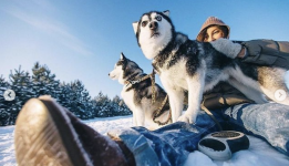 Снимок экрана 2025-01-21 в 12.04.38.png