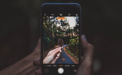 1737531803067.png 1737531803067.png