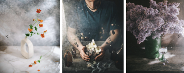 1737542667245.png 1737542667245.png